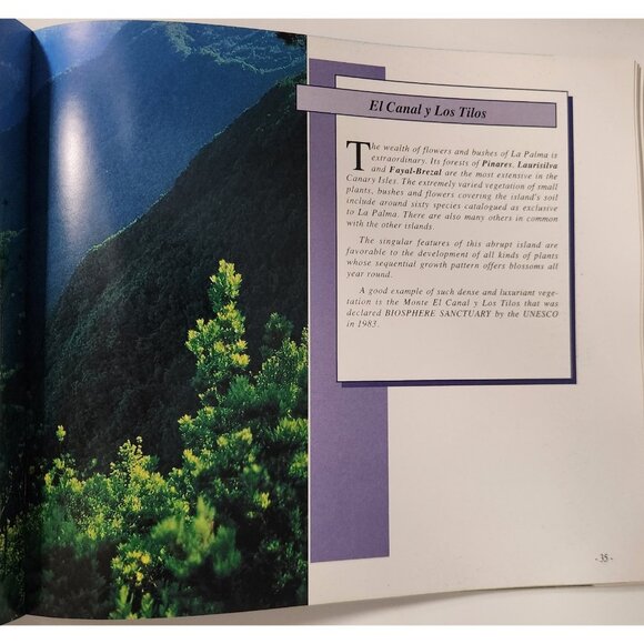La Palma U Jardin Natural Book Juan José Santos Spain Photographs English Text - Picture 6 of 12
